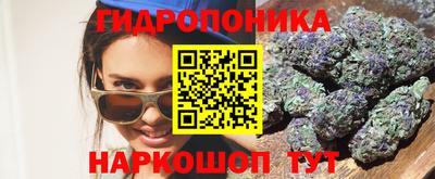 гидра Аргун