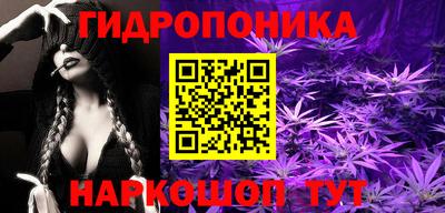 крисы Гусев