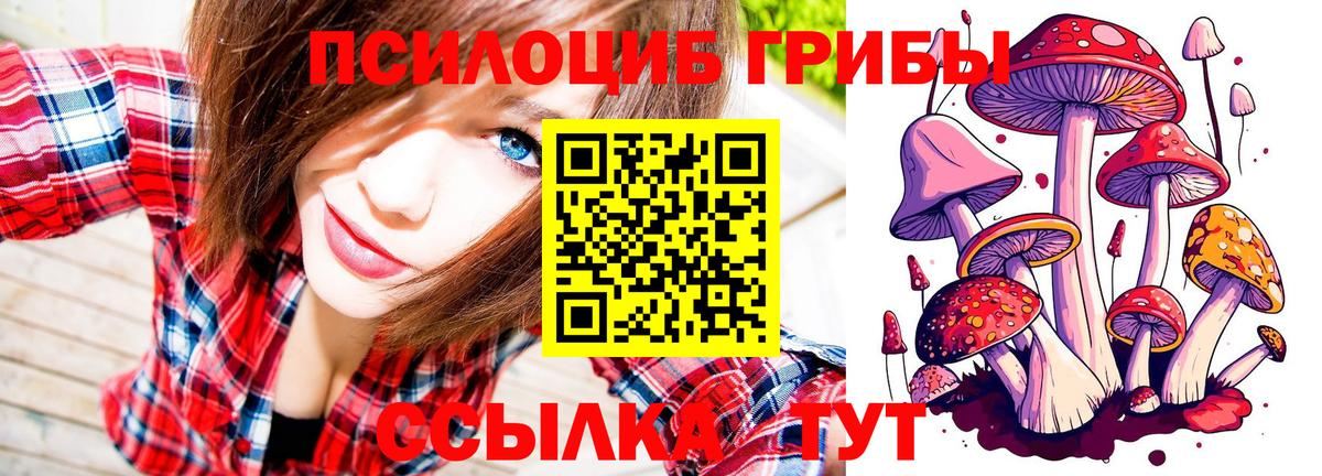 Галлюциногенные грибы прущие грибы Мыски