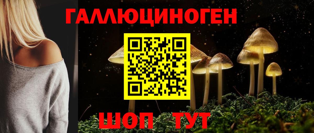Псилоцибиновые грибы GOLDEN TEACHER Мыски