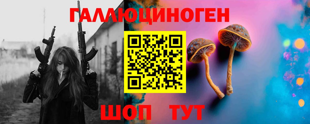 Галлюциногенные грибы Psilocybe  Мыски 